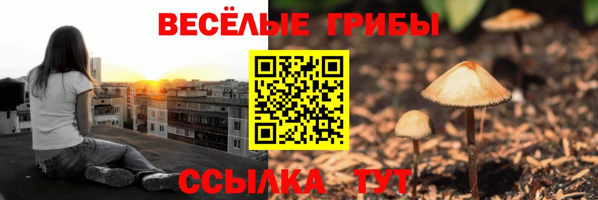 Валуйки  Псилоцибиновые грибы GOLDEN TEACHER  Галлюциногенные грибы Psilocybine cubensis  Вход с VPN 